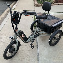 Trike Rad power bikes E-Bike