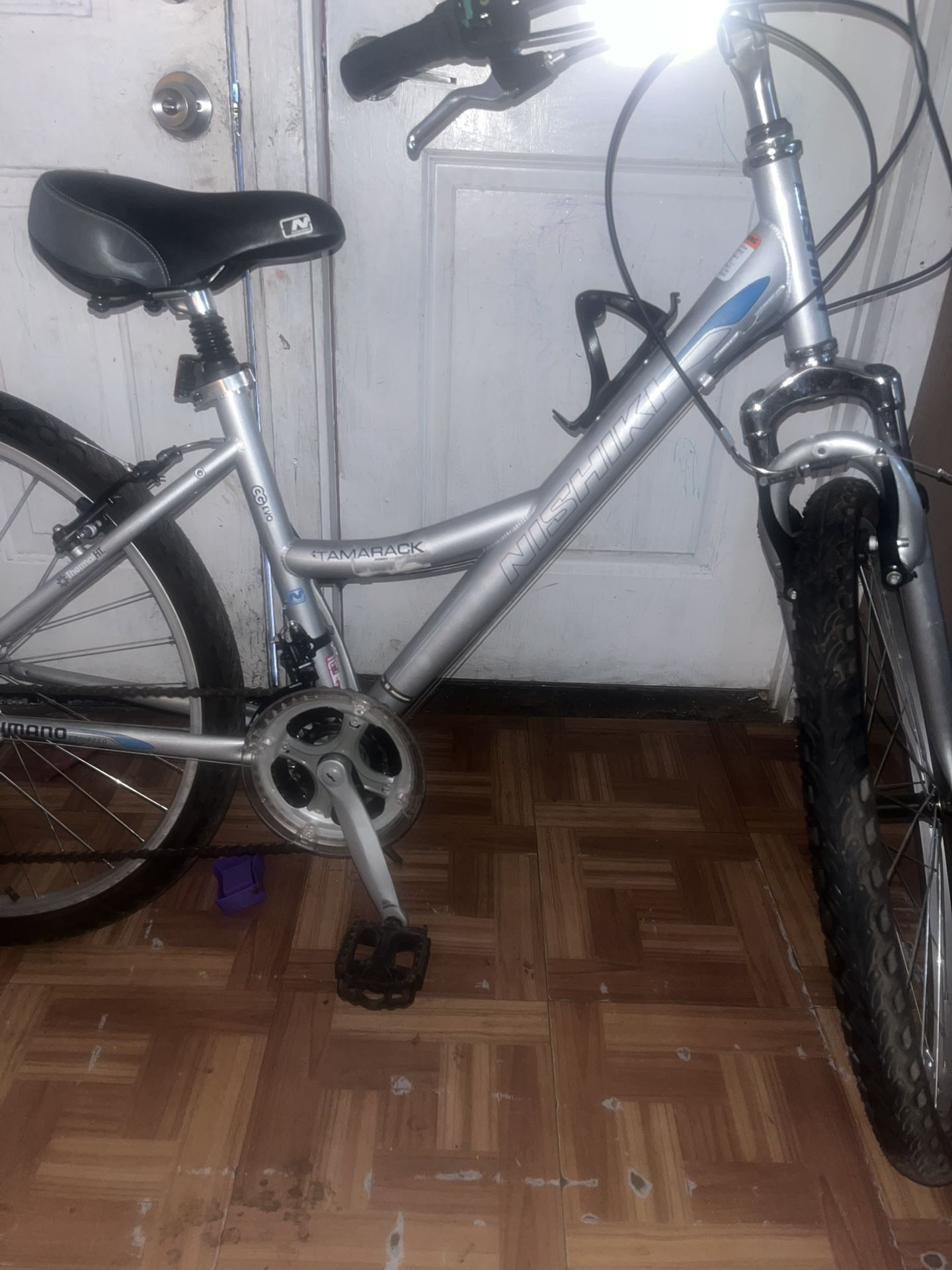 Grey Nishiki Bike