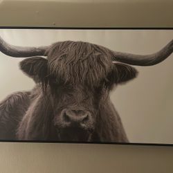 Black And White Frame 