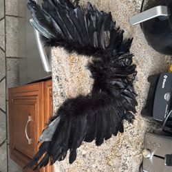 black angel wings halloween 