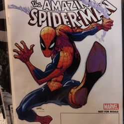 The Amazing Spider-Man Comic 