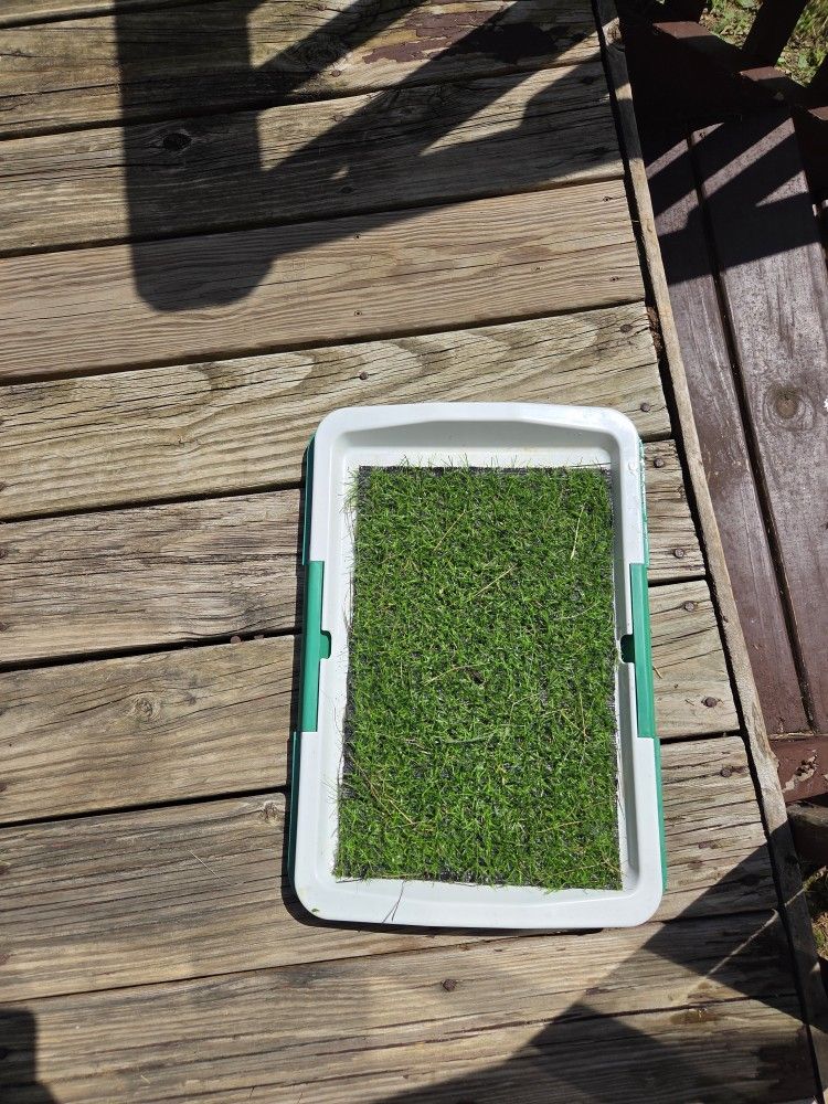 Artificial Sod Puppy Pee Pads Reusable Training Pee Pads Dog Grass Pee Pads Potty Sod Fake Dog Sod Indoor Dog Pee Pads Dog Sod Outdoor Sod for Home