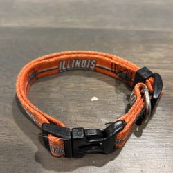 U of I Pet Collar