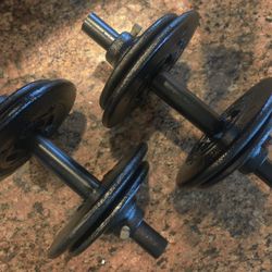 Adjustable Dumbbells, 20 lbs, each