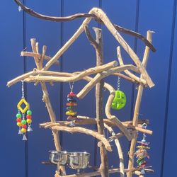 Parrot Perch Tree- A Great Hangout Spot For Mr Feathers … Custom Made And Lasts For Years !