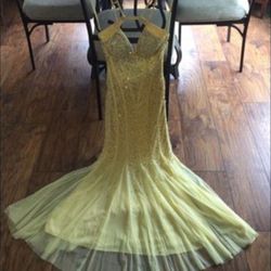 Prom Dress/Evening Dress