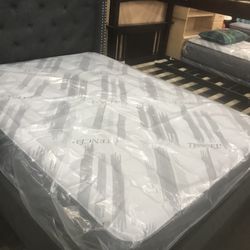 Queen Mattress And Boxspring $249