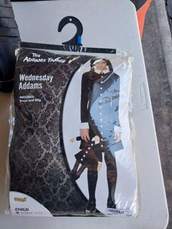 Wednesday costume from Adam's Family