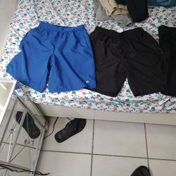 3 Gym Shorts 