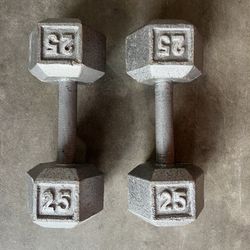 25 LB Hex Dumbbell Set