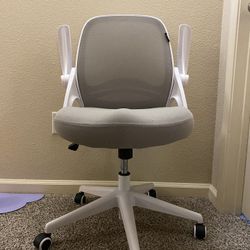 Used Ergonomic Office Chair