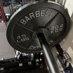 45 weight plate pair