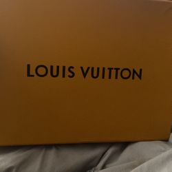 Louis Vuitton Skate Sneakers 
