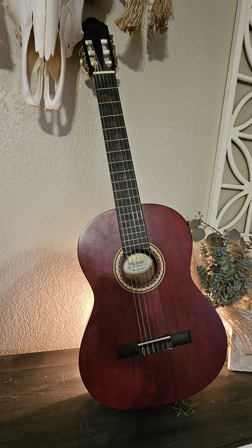 Valencia Parlor Acoustic Guitar-Gorgeous!