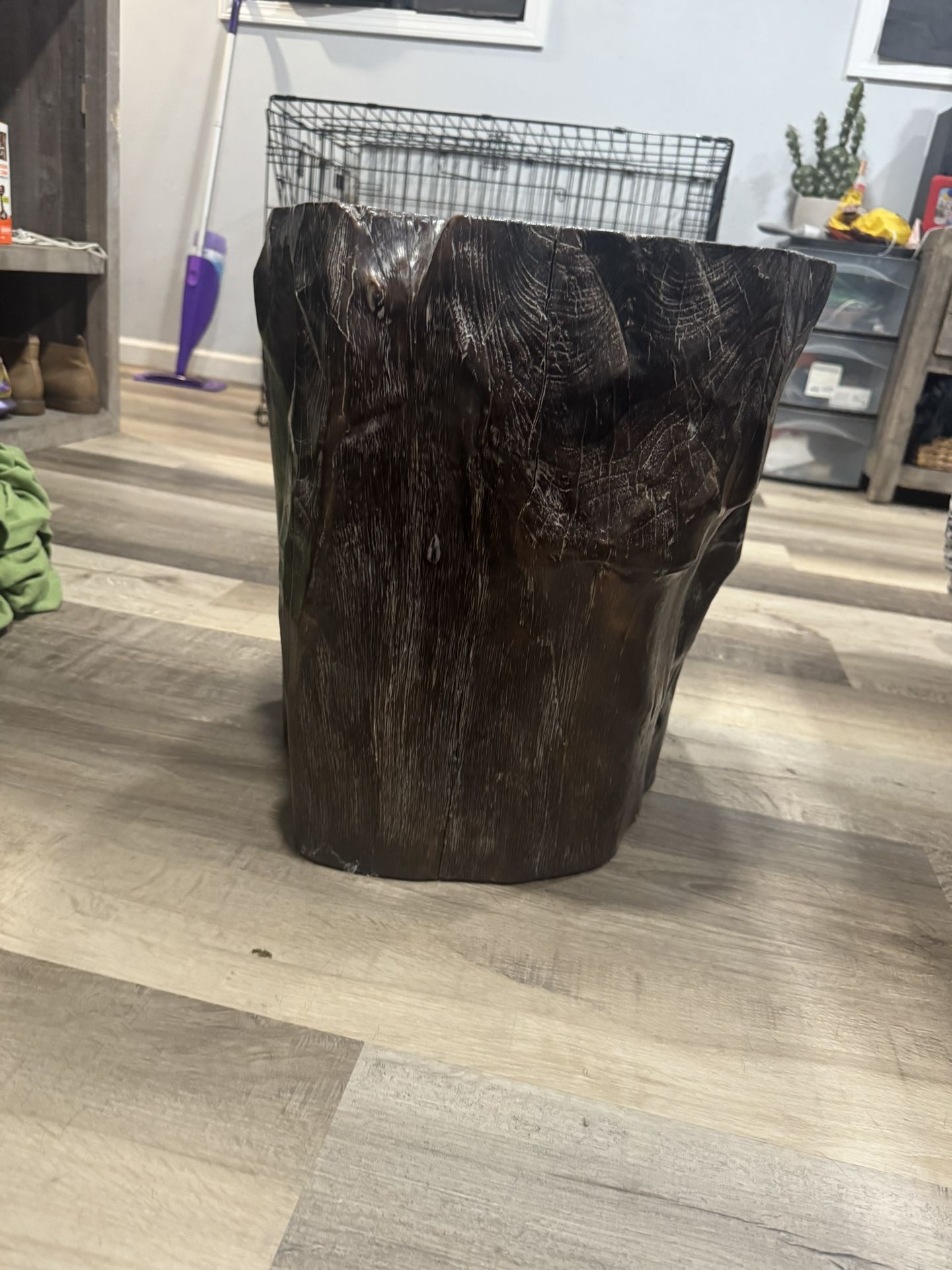 Ancient Petrified Wood Side Table 