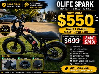 QLife Spark 20" Fat Tire Electric Bike