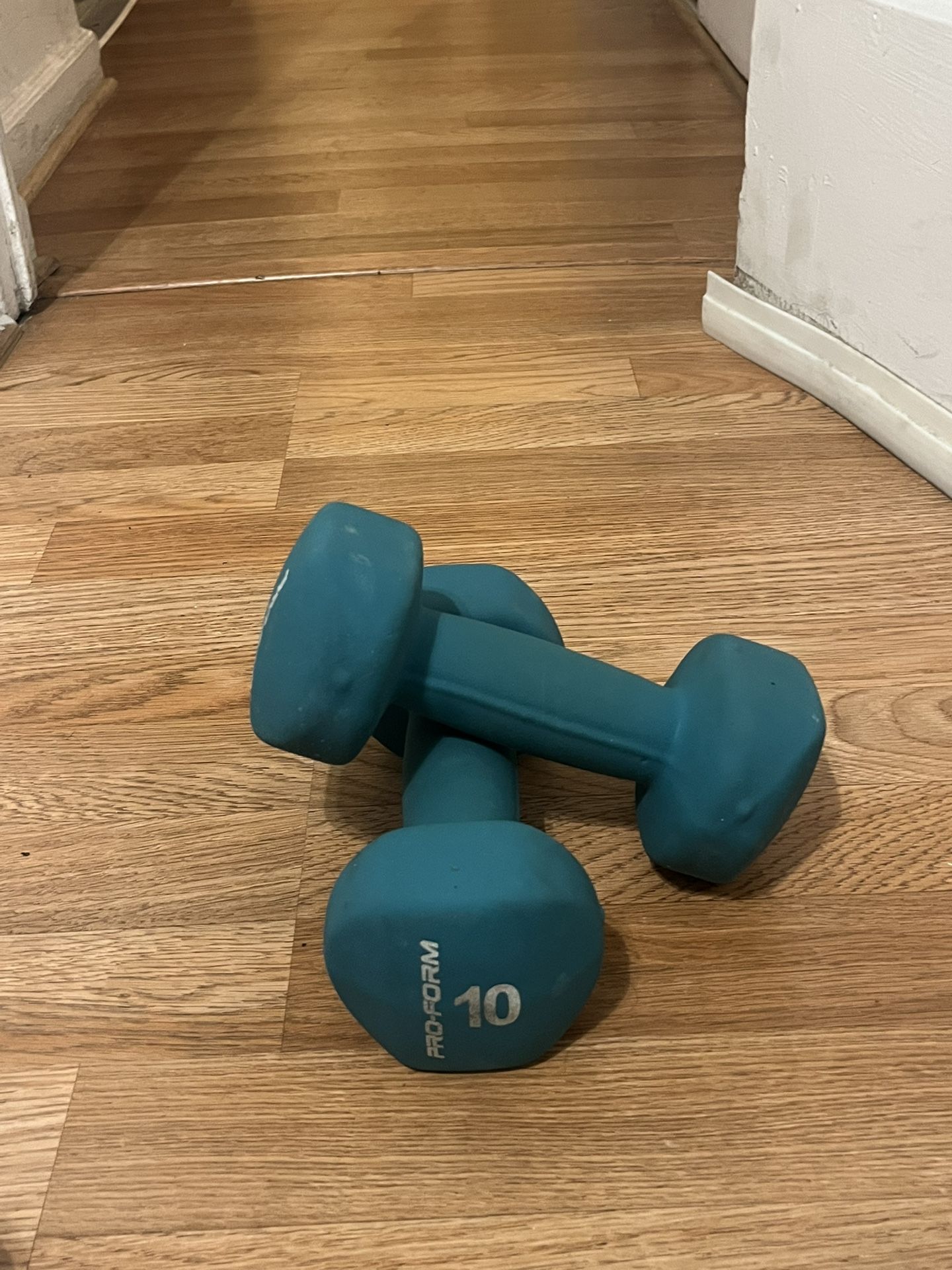 10 Pound Dumbbells