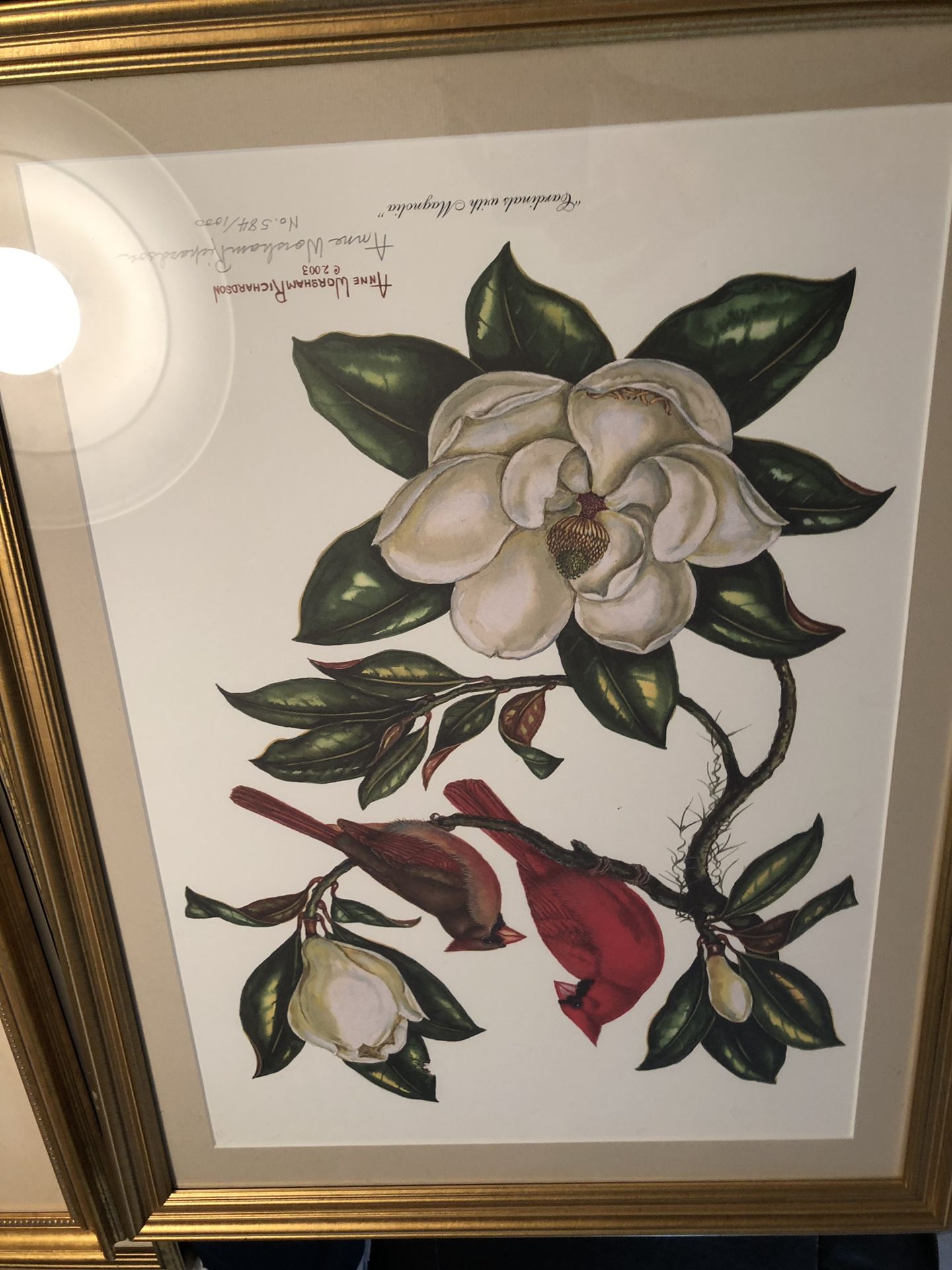 ANNE WORSHAM RICHARDSON CARDINALS W MAGNOLIA GRANDIFLORA LTD. ED. SIGNED PRINT