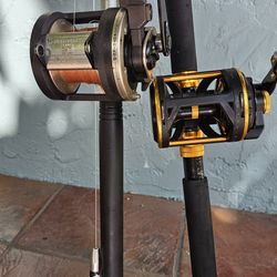 Shimano 50 And Penn 50 With Rods