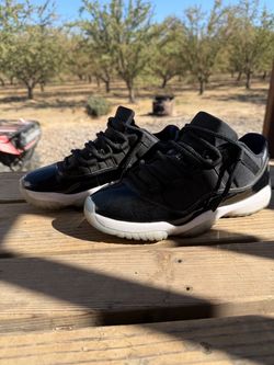 Jordan 11 Space Jam