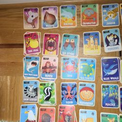 Bear Snacks Cards