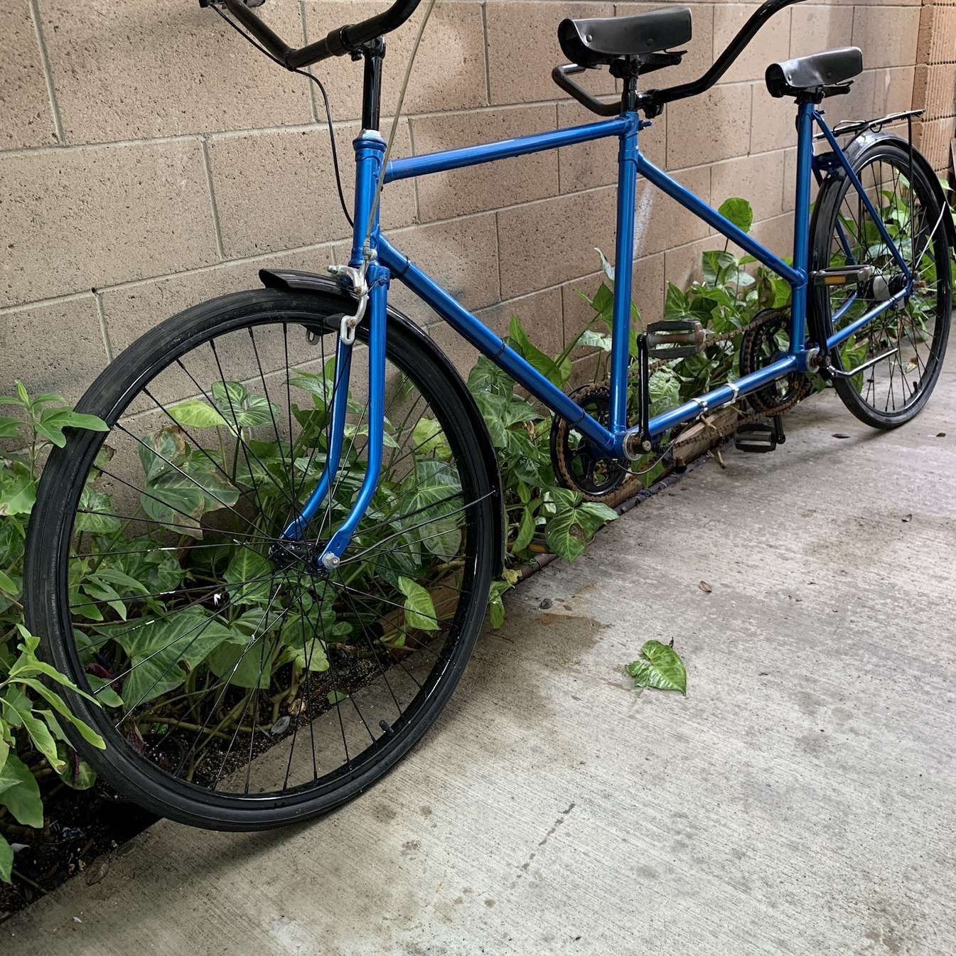 2 Seater Bike for Sale in Anaheim, CA - OfferUp