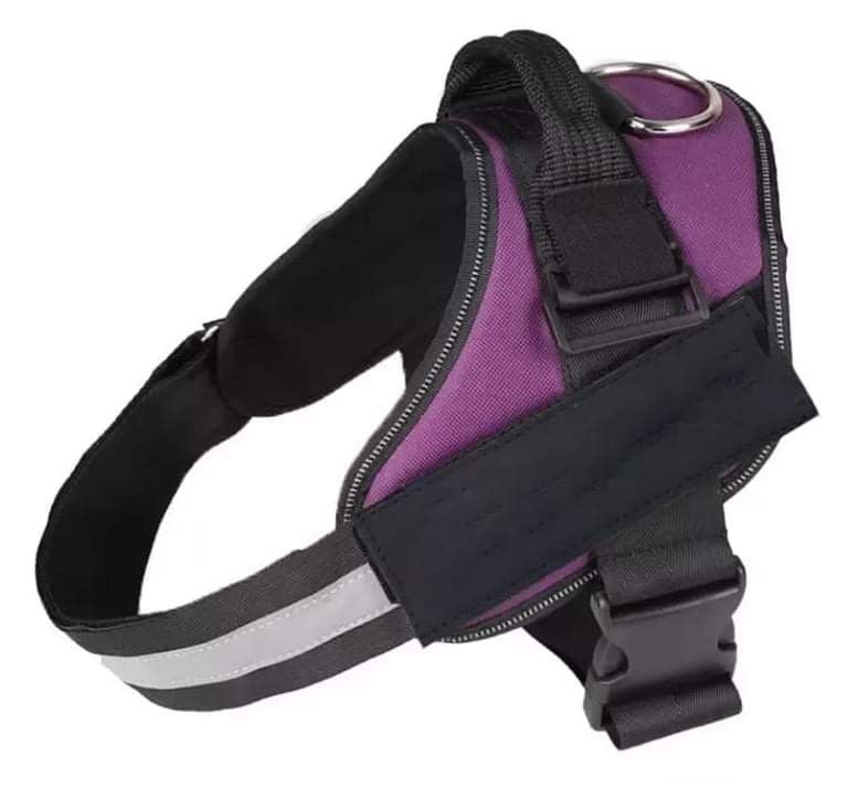 Dog Harness Purple Color Vest