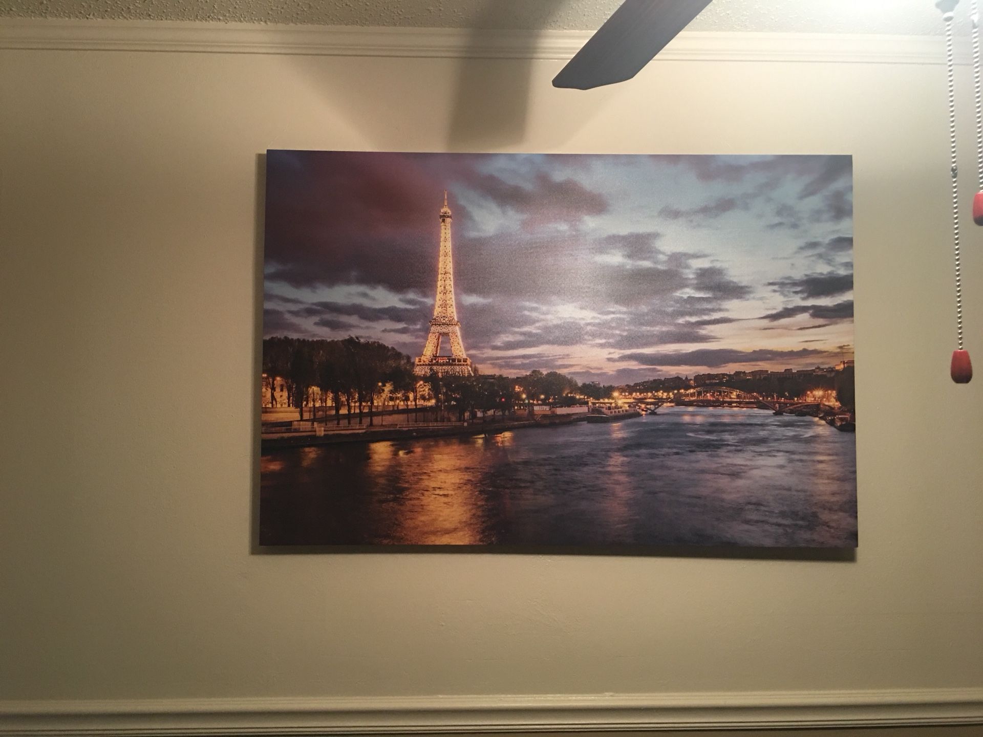 Large Paris Canvas Picture!!