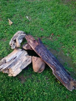 5 Pieces Of Natural Driftwood For Aquariums Terrariums Decor