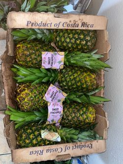 Fresh pineapples from Costa Rica