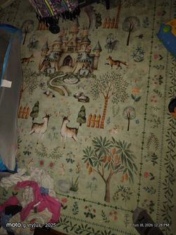 Rug kids fantasy big room size for $60
