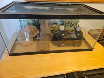 Reptile Enclosure