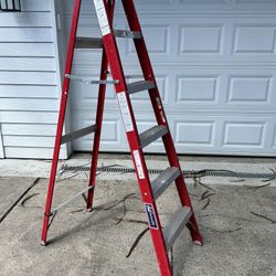 6” Fiberglass Louisville Ladder