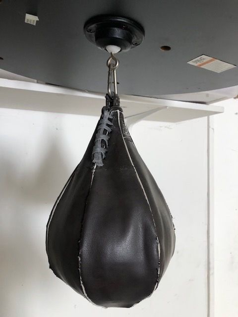 Everlast Dual station ,punching bag/speed bag MMA fitness and training Gym