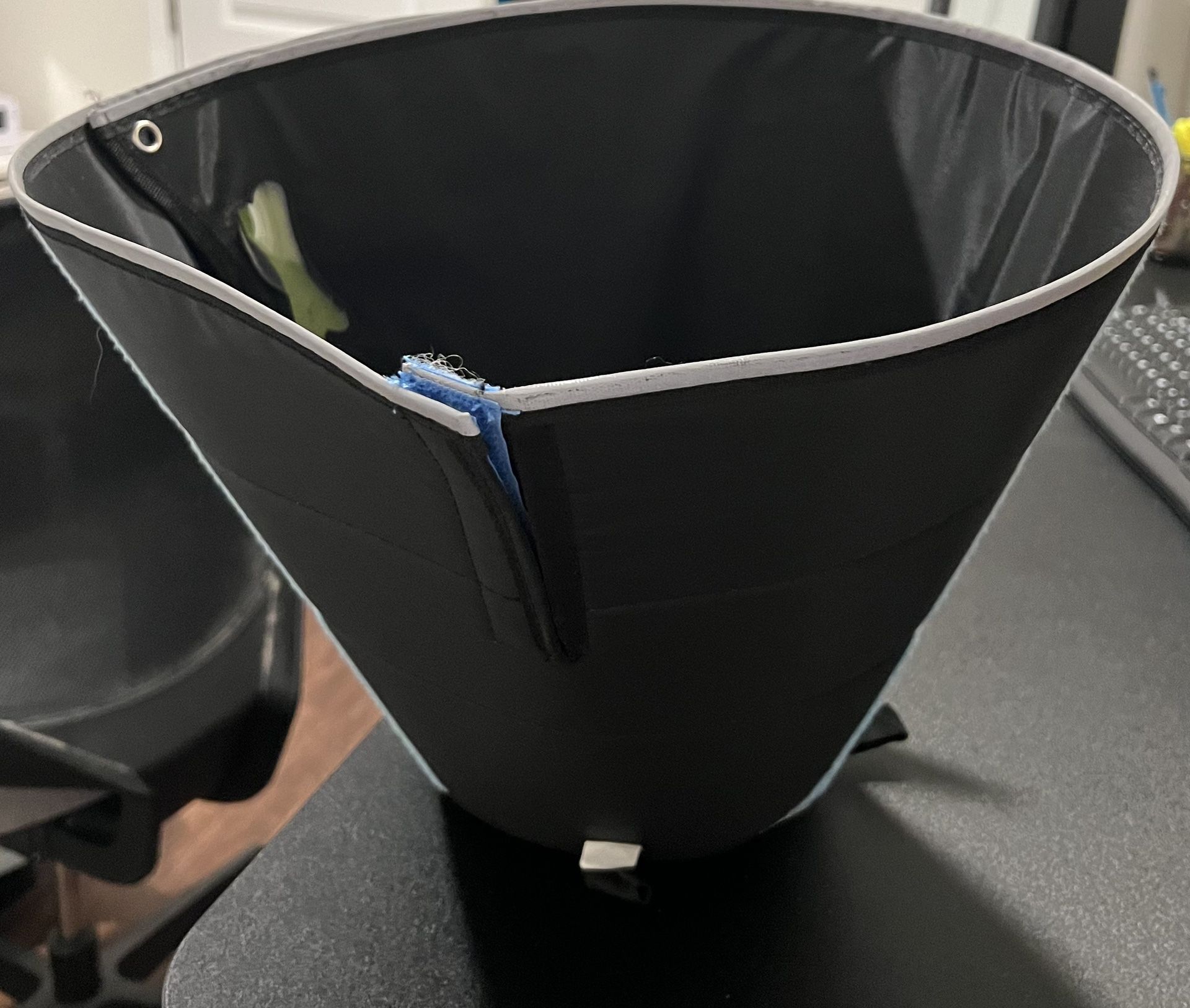 Dog Recovery Collar Sz XL