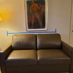 Design Within Reach Leather Sofabed