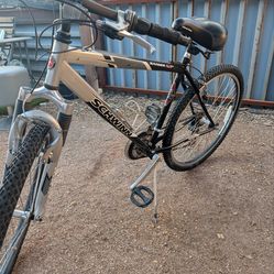 Schwinn bike