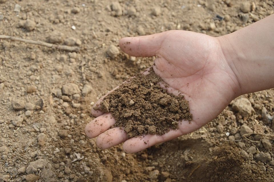 Clean Dirt