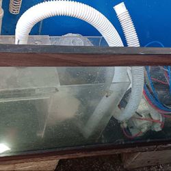 100 gallon 1/2" glass  Aquarium 