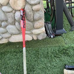 Baseball Bat 