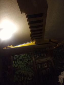 Large RC airplane