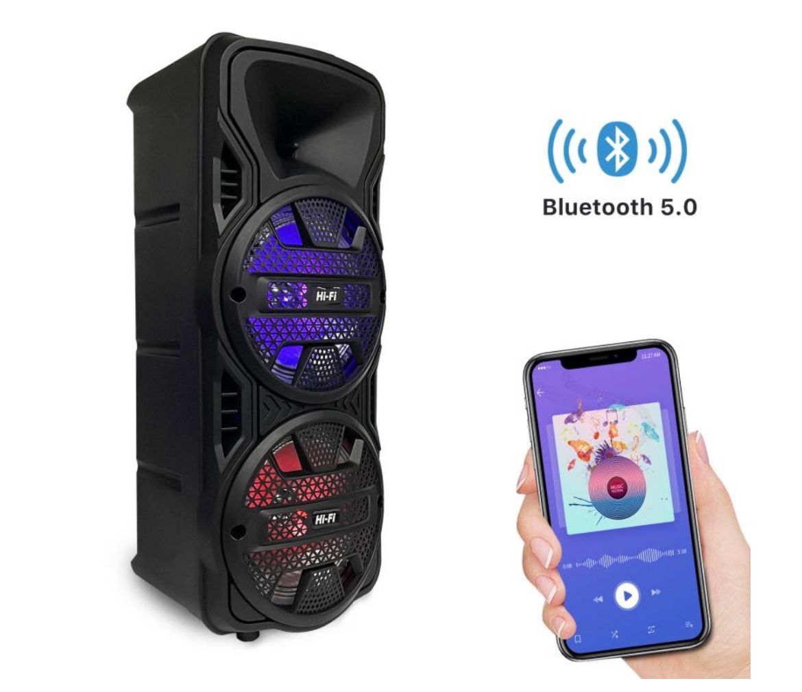 Salsa Speaker