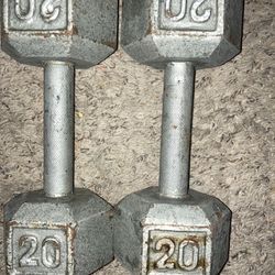 Two 20 Pound Weight Barbells 