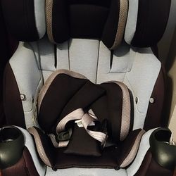 Evenflo Platinum series car seat