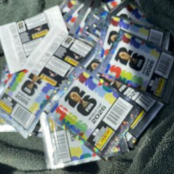 World Cup Panini cards😎