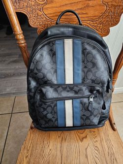 Coach Backpack (Blue and White Stripe)