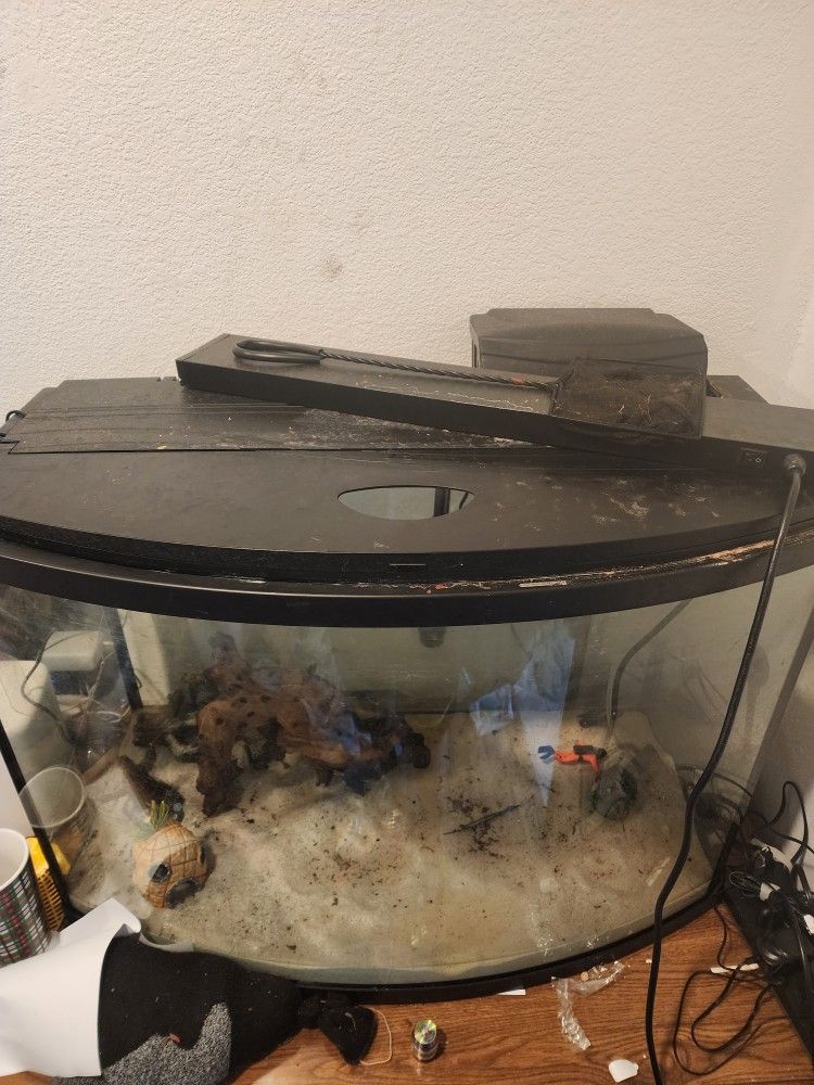Fish Tank And Accessories