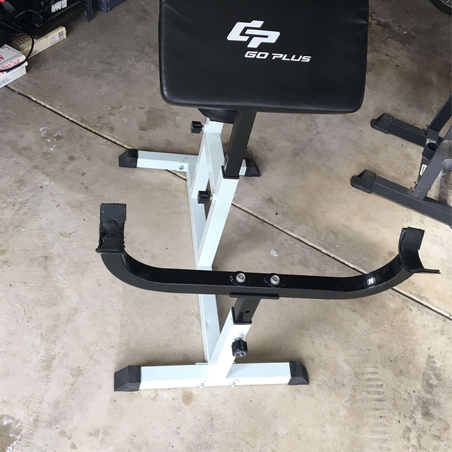 Preacher Curl Bench