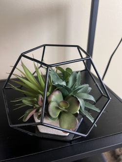 Fake Succulent 