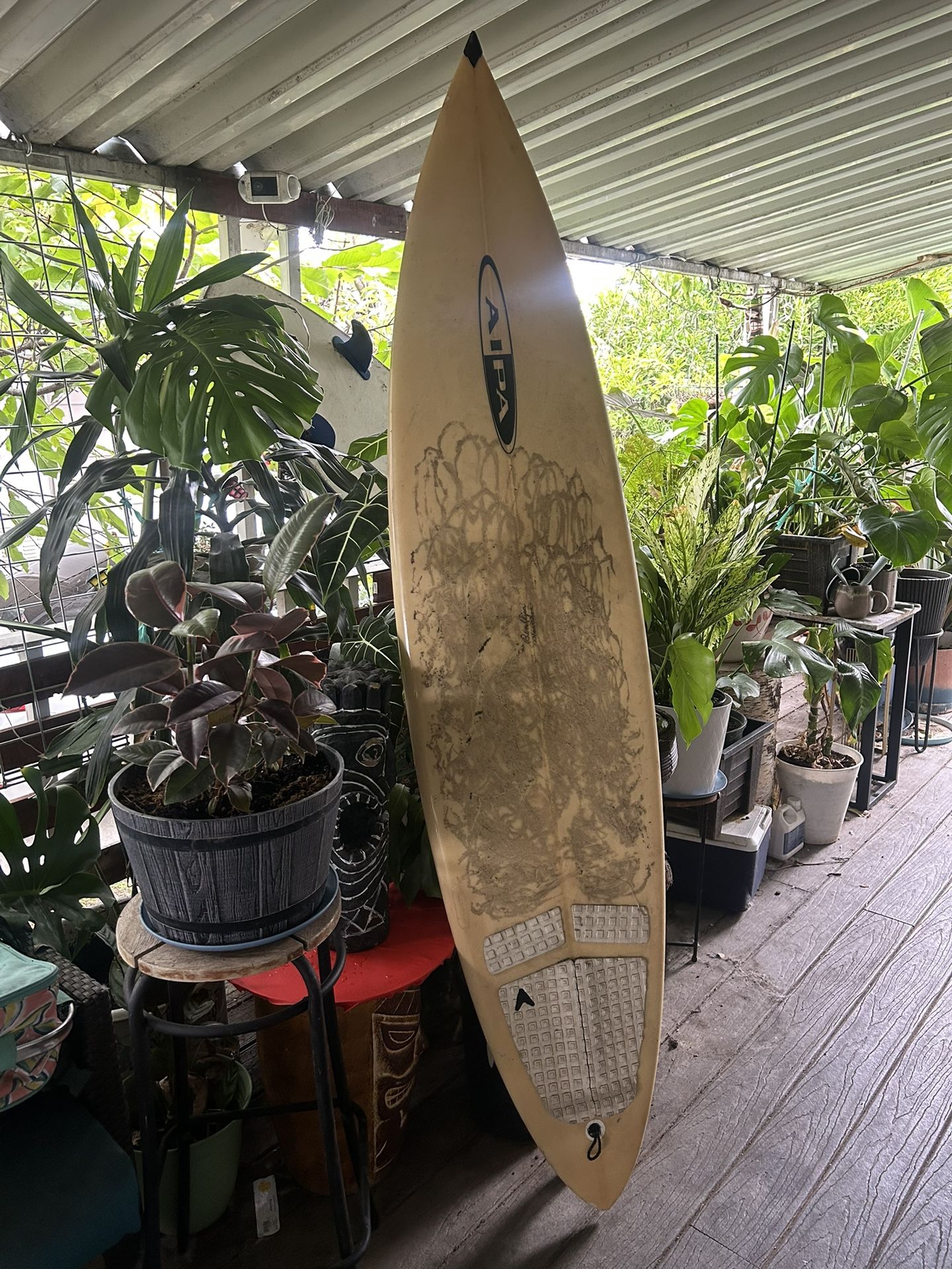 6’8 Aipa Surfboard